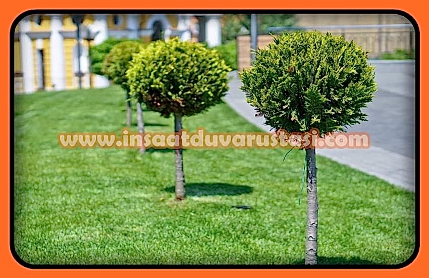 /PEYZAJ%20İŞÇİLİK%20FİYATLARI